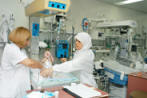 Palestinian Nurses in palestine